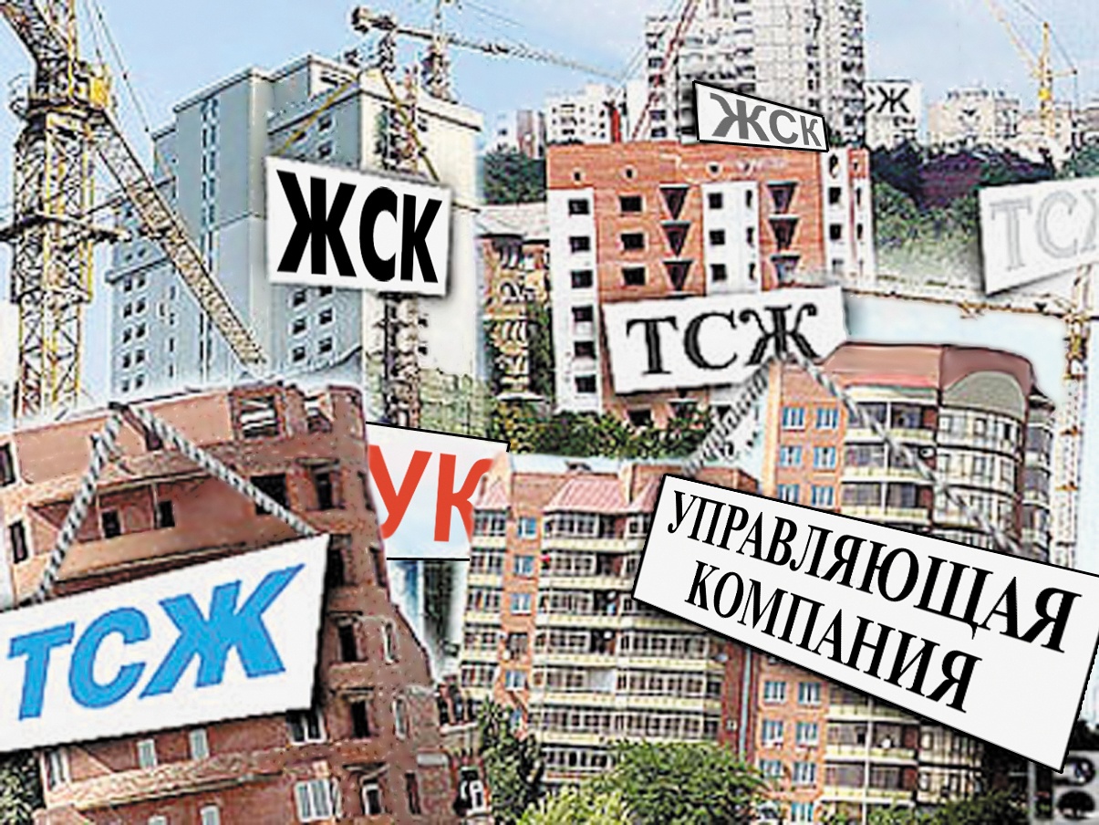 Новая Управляющая Компания Заставляет Липецк 2022 Год Новая Управляющая Компания Заставляет Липецк 2022 Год